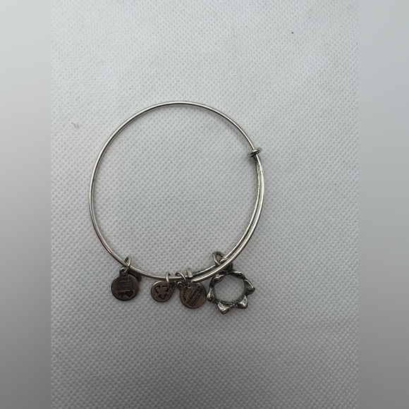 RETIRED: Alex and Ani | Queens Crown charm bracelet. - Picture 2 of 15